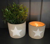 White Star Cement Planter Small