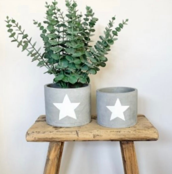 White Star Cement Planter Medium