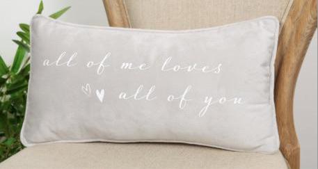 Pale Grey Cushion ‘All of me loves all of you’